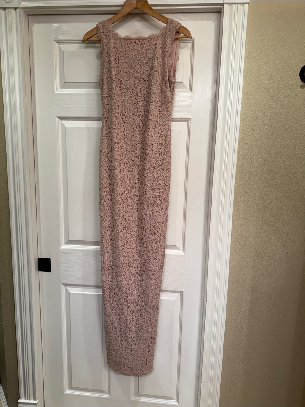 Gorgeous Adrianna Papell Blush Pink Lace Maxi Dress